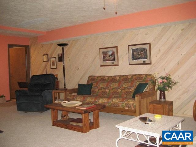 25 Dogleg Road Palmyra, VA 22963 - Photo 16 of 20 View of the family room and guest quarters in the terrace level.