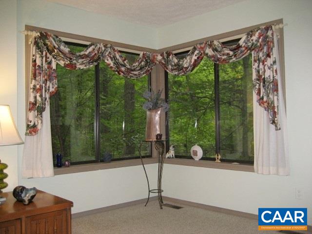 25 Dogleg Road Palmyra, VA 22963 - Photo 7 of 20 Gallery Image 7
