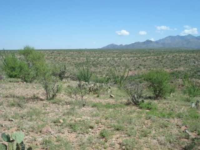 57 Camino Nacozari Rio Rico, AZ 85648 - Photo 7 of 9