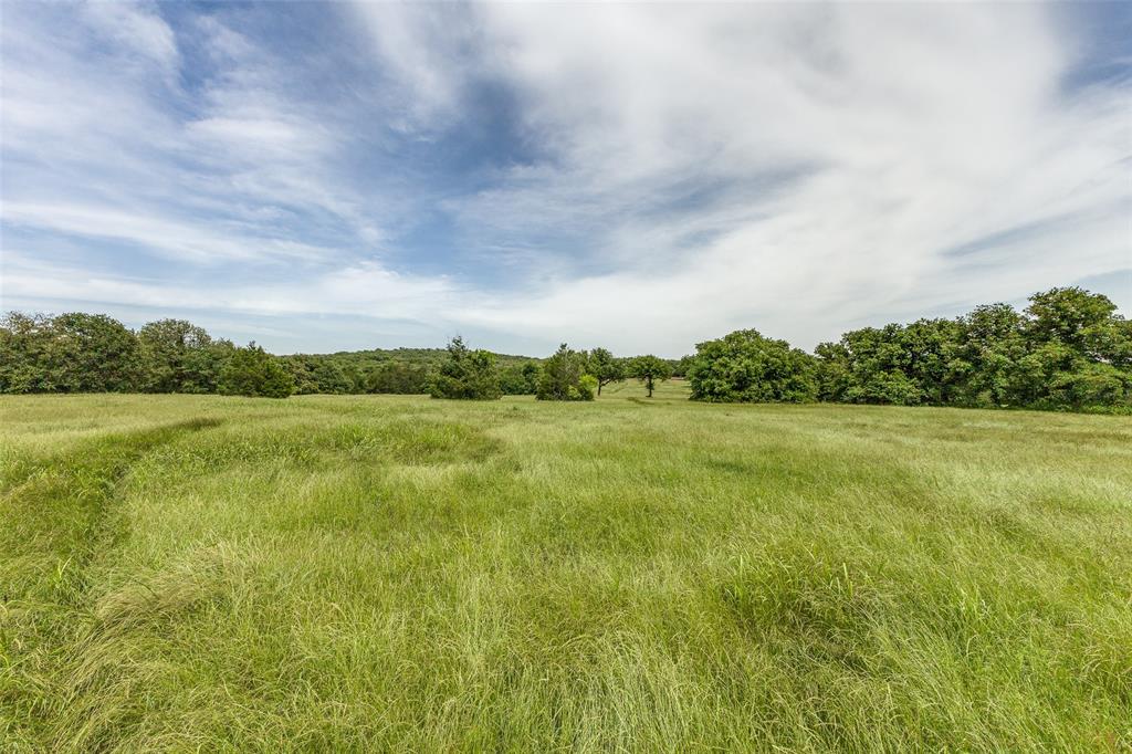 a view of a green field with lots of green space