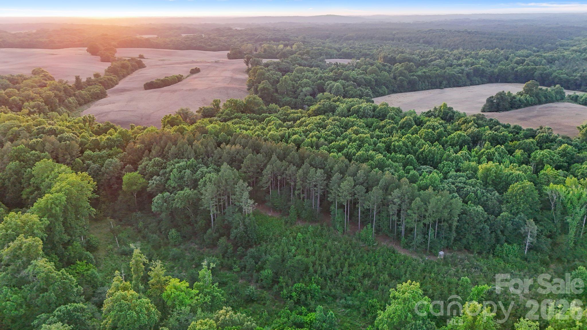 0 Lucy Short Cut Road, Unit 3 Marshville, NC 28103 - Photo 31 of 47
