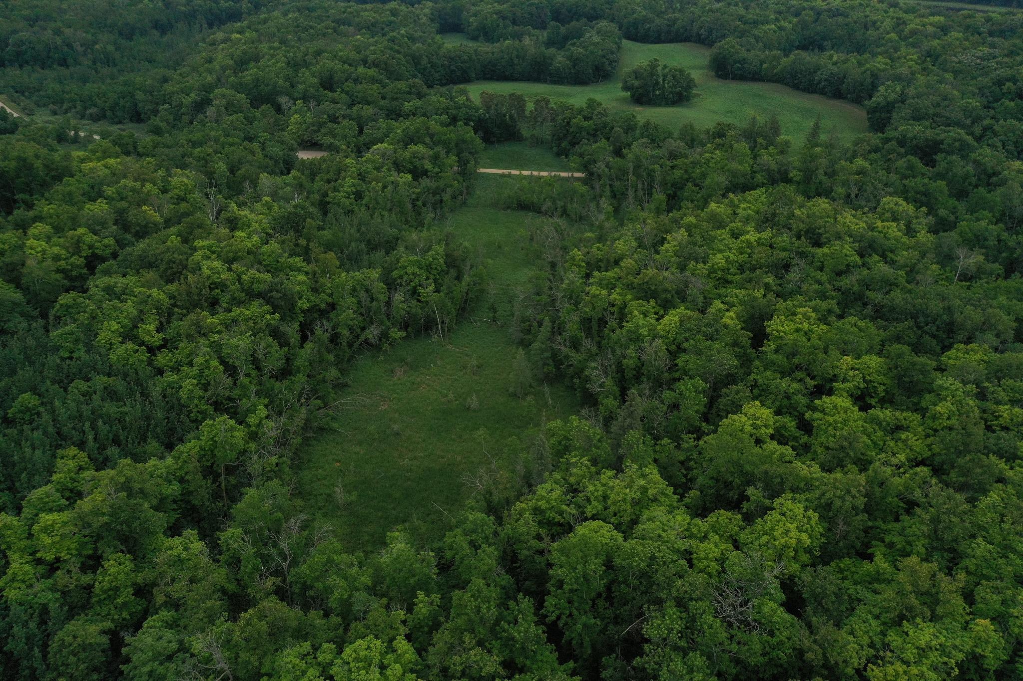 Tbd North Cotton Lake Road Rochert, MN 56578 - Photo 6 of 31 Gallery Image 6
