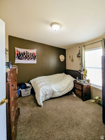 1055 West Ashby Road Delta, UT 84624 - Photo 19 of 37