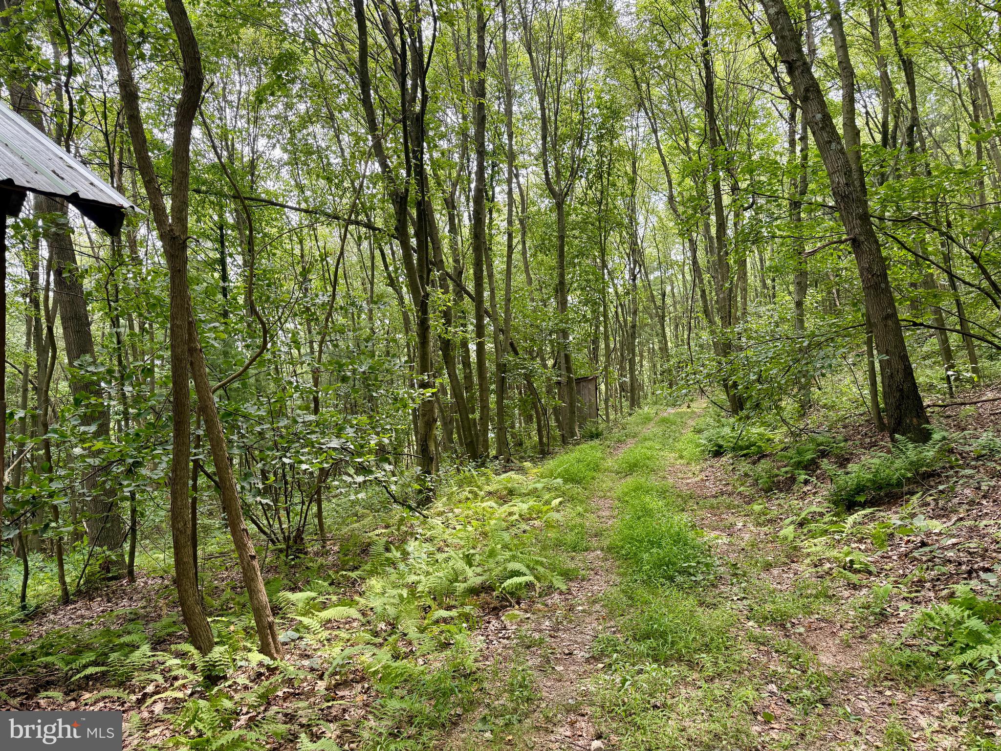 Mountain Road James Creek, PA 16657 - Photo 22 of 28