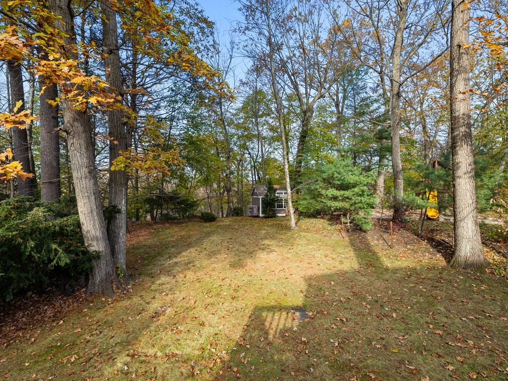 31 Bay State Road Wellesley, MA 02481 - Photo 24 of 24 a view of a yard with trees