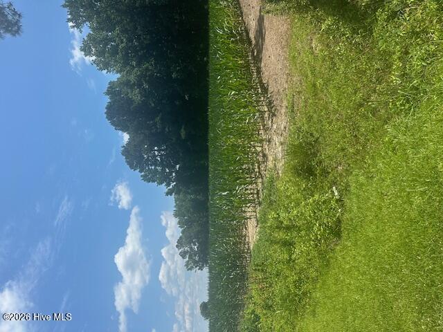 721 Joe Piver Road Chadbourn, NC 28431 - Photo 1 of 18