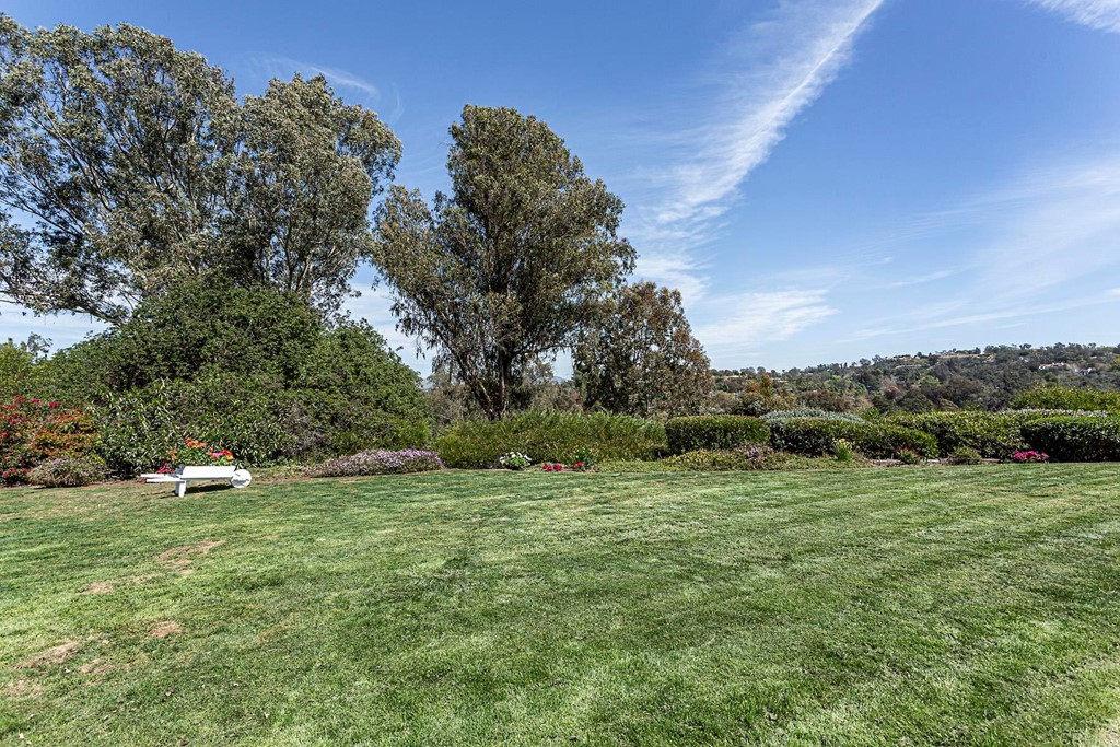 16854 Los Morros Rancho Santa Fe, CA 92067 - Photo 29 of 40 a view of a grassy field with trees in the background