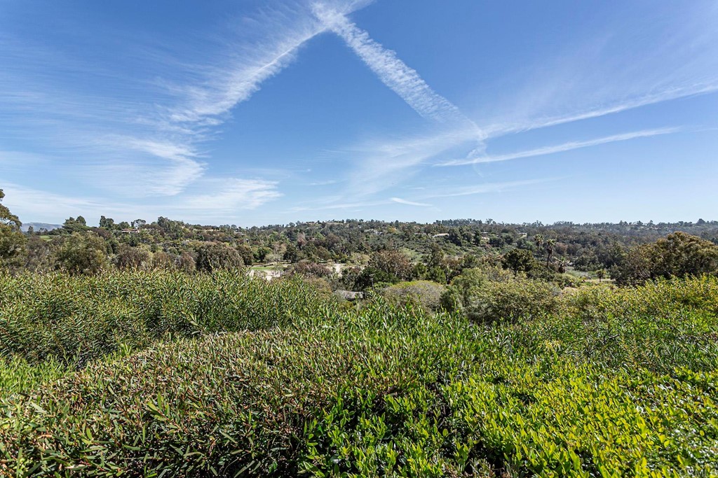 16854 Los Morros Rancho Santa Fe, CA 92067 - Photo 35 of 40 a view of a city with lush green forest