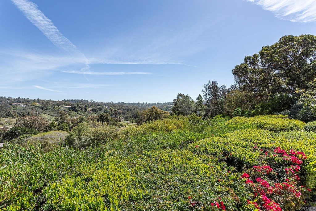 16854 Los Morros Rancho Santa Fe, CA 92067 - Photo 36 of 40 a view of a bunch of flowers in a field