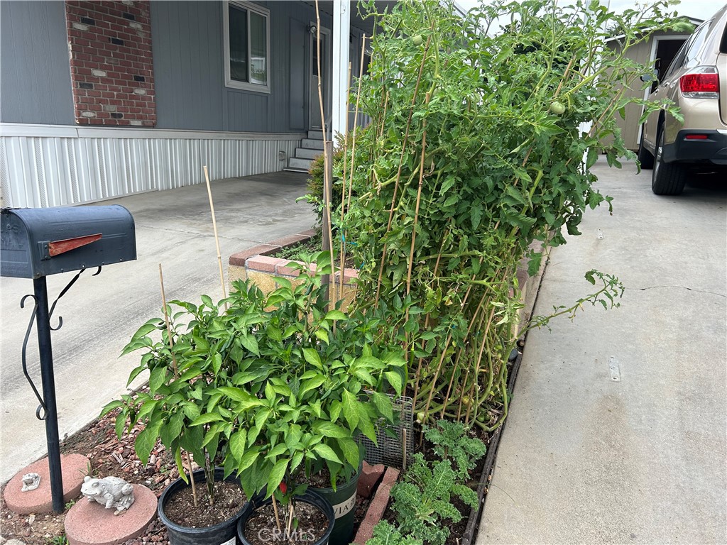 17 Gomes Way Brea, CA 92821 - Photo 31 of 47 a view of a patio with table and chairs and potted plants