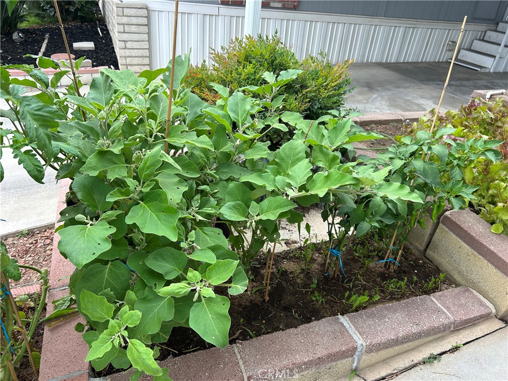 17 Gomes Way Brea, CA 92821 - Photo 32 of 47 a backyard of a house with a garden and plants