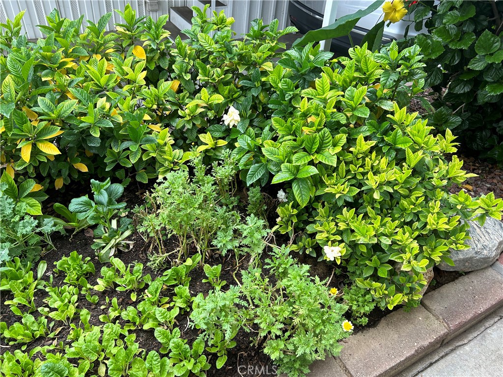 17 Gomes Way Brea, CA 92821 - Photo 35 of 47 a backyard of a house with lots of green space