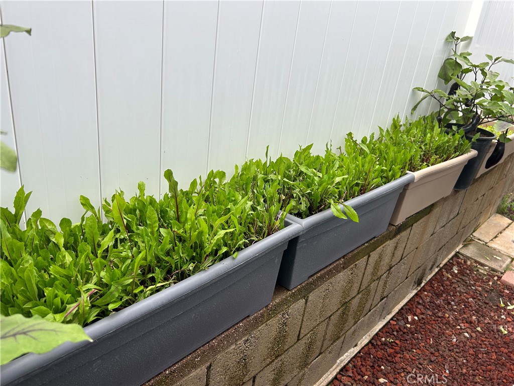 17 Gomes Way Brea, CA 92821 - Photo 38 of 47 a view of a garden with an outdoor seating