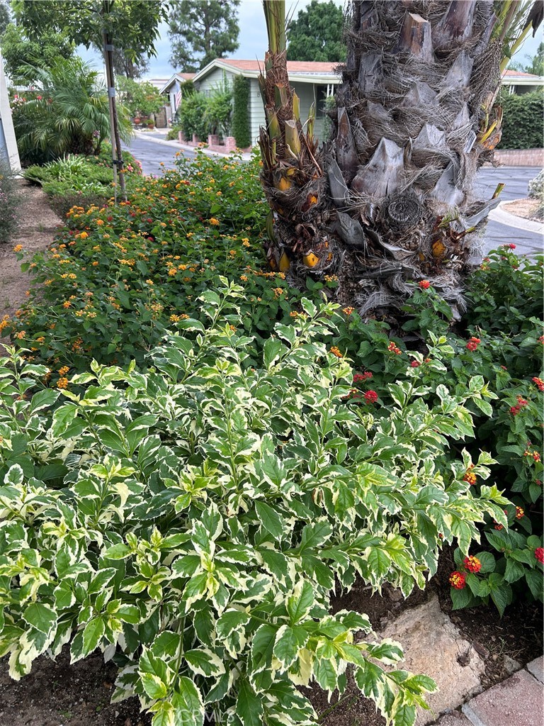17 Gomes Way Brea, CA 92821 - Photo 39 of 47 a backyard of a house with lots of green space