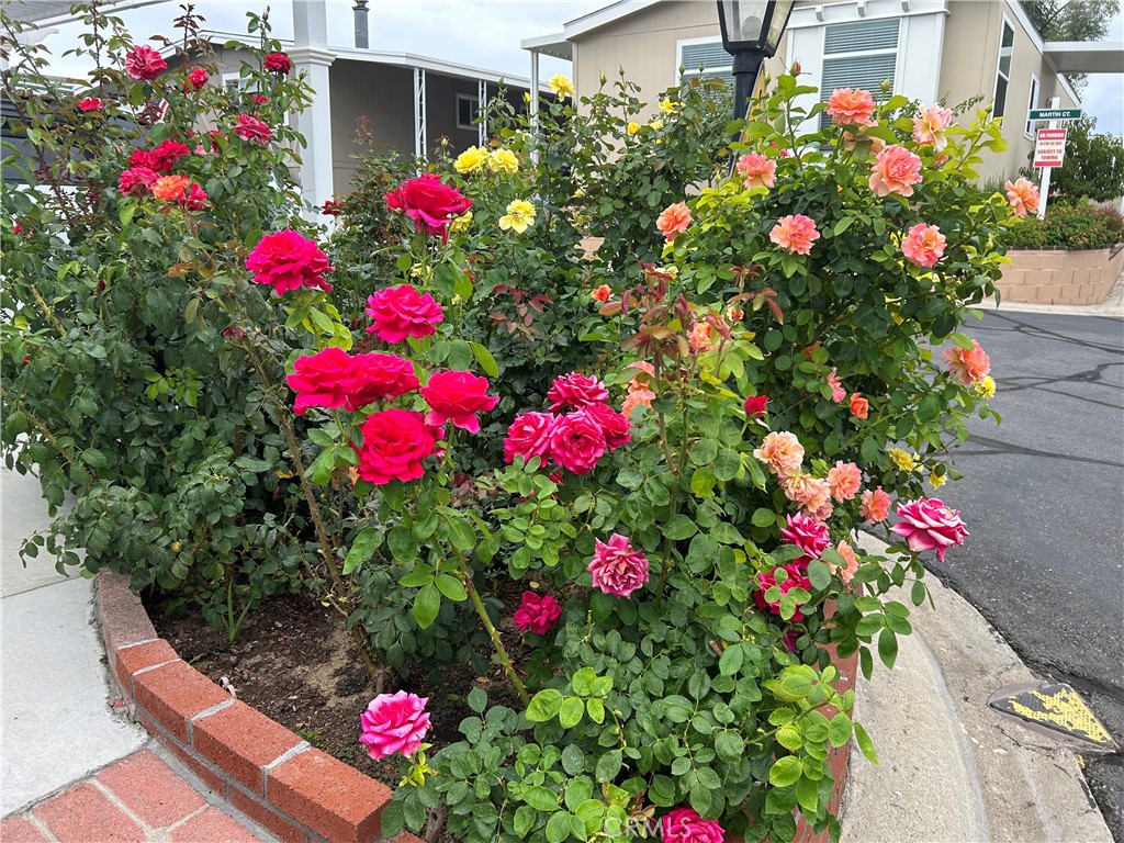 17 Gomes Way Brea, CA 92821 - Photo 43 of 47 a view of a flower