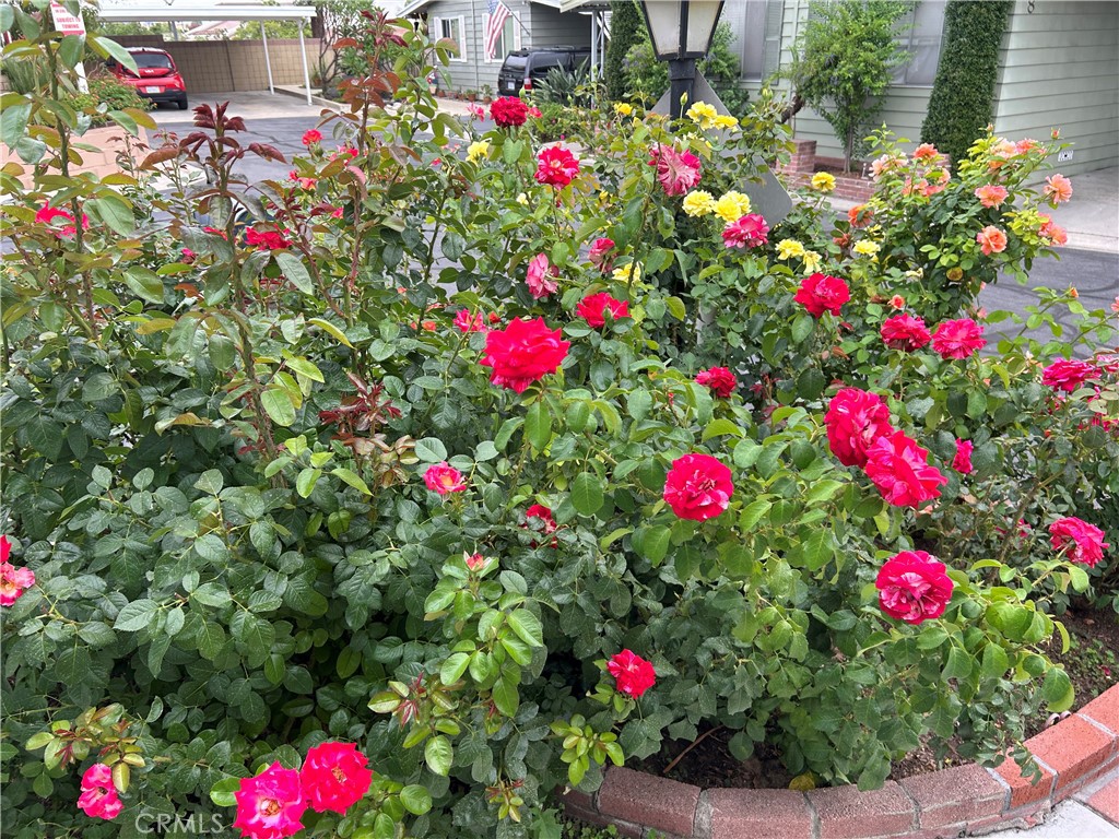 17 Gomes Way Brea, CA 92821 - Photo 44 of 47 a view of a flower in a front of a house