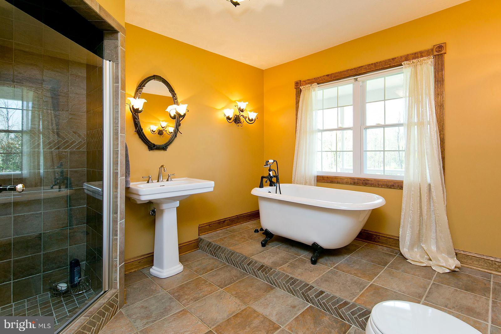 426 White Hall Road Winchester, VA 22603 - Photo 26 of 76 Master bath with claw foot tub
