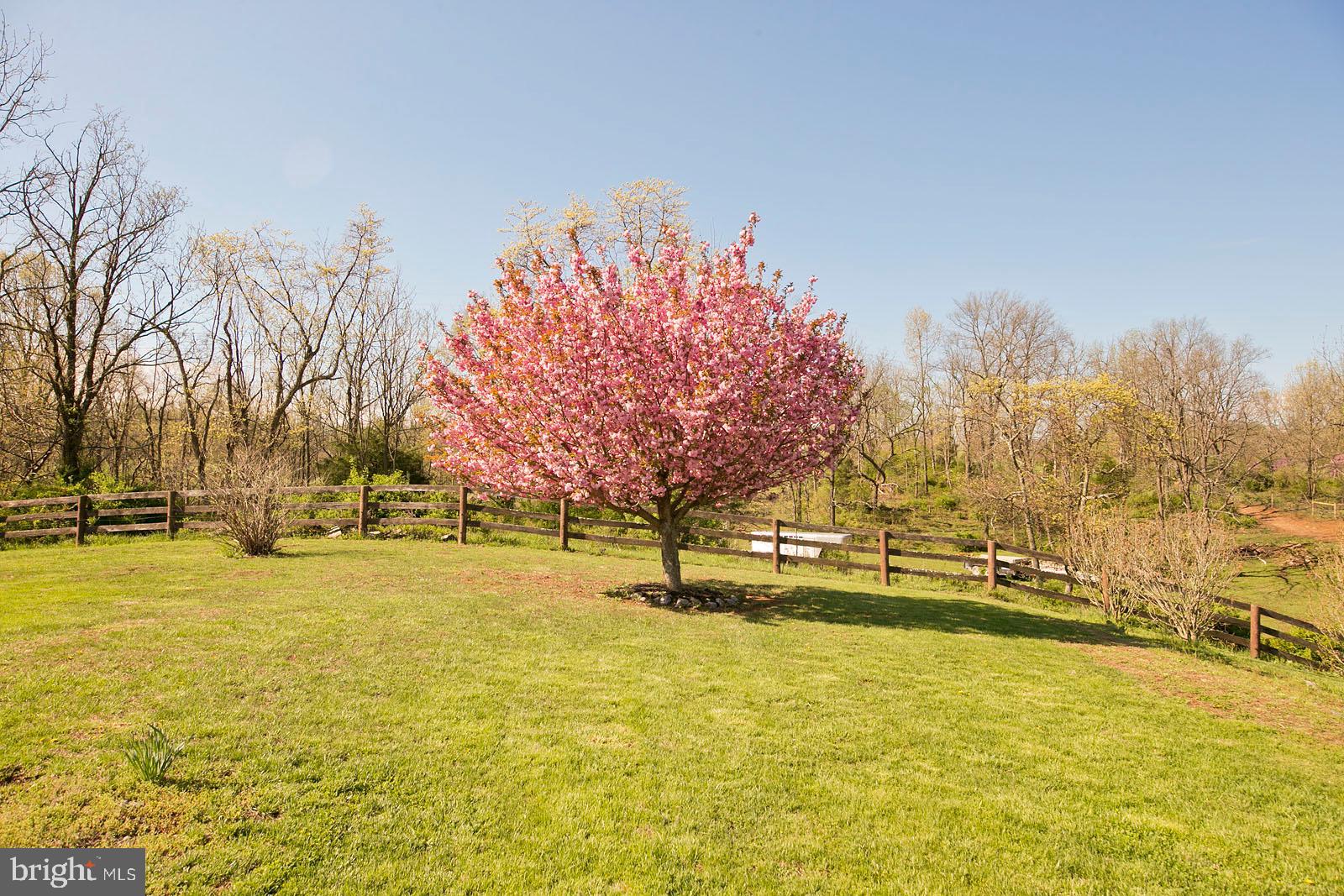 426 White Hall Road Winchester, VA 22603 - Photo 52 of 76 Yard/ Grounds