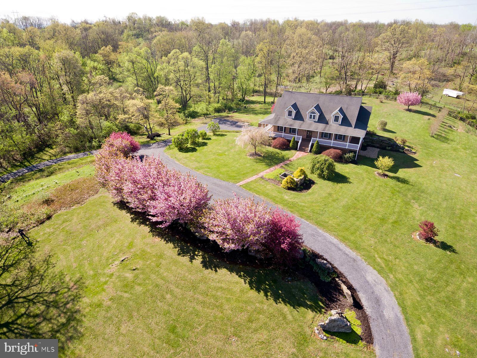 426 White Hall Road Winchester, VA 22603 - Photo 58 of 76 Gallery Image 58