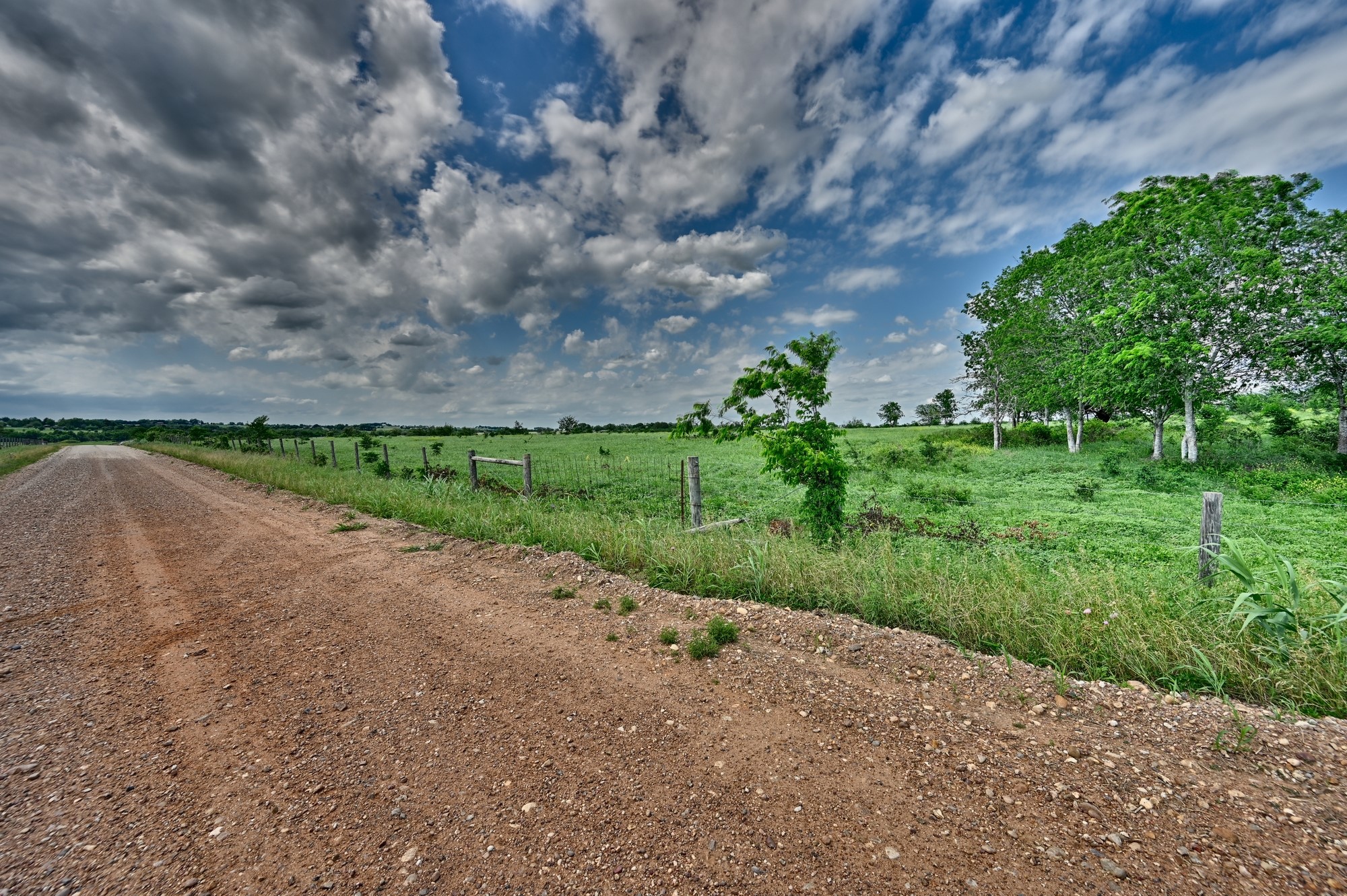 0 School Road New Ulm, TX 78950 - Photo 7 of 13