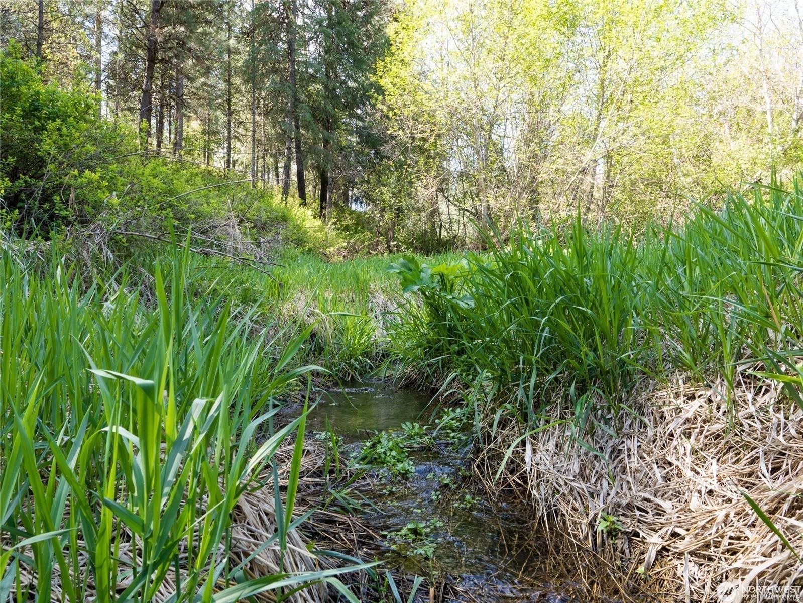39297 Halvorson Canyon Road North Creston, WA 99117 - Photo 19 of 26