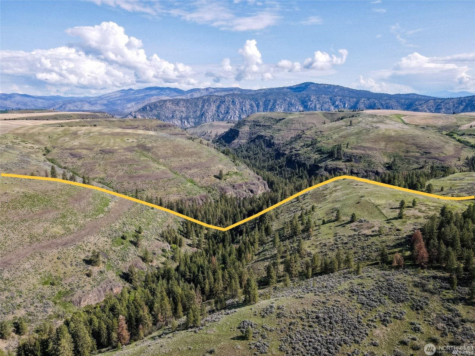 39297 Halvorson Canyon Road North Creston, WA 99117 - Photo 21 of 26