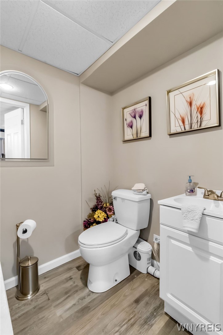 177 Promenade Lane Amherst, NY 14221 - Photo 45 of 49