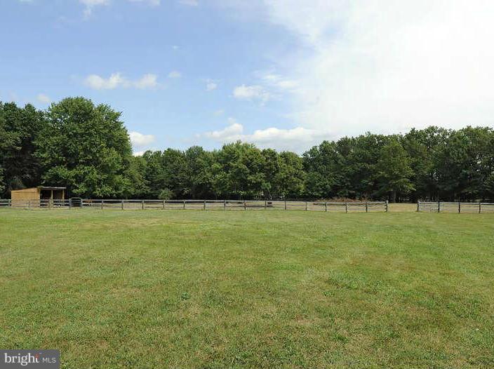 3305 Rectortown Road Marshall, VA 20115 - Photo 15 of 30 View of spacious back lawn & pasture area.