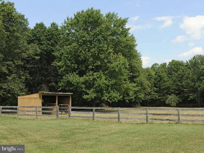 3305 Rectortown Road Marshall, VA 20115 - Photo 16 of 30 View of large fenced paddock with shed/barn.