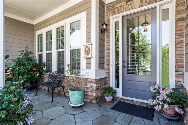 a view of a backyard with plants and chairs potted plants