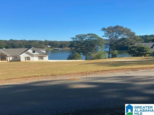 280 Black Acres Road Cropwell, AL 35054 - Photo 7 of 15