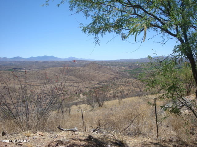1251 Avenida Gloriosa Rio Rico, AZ 85648 - Photo 10 of 11