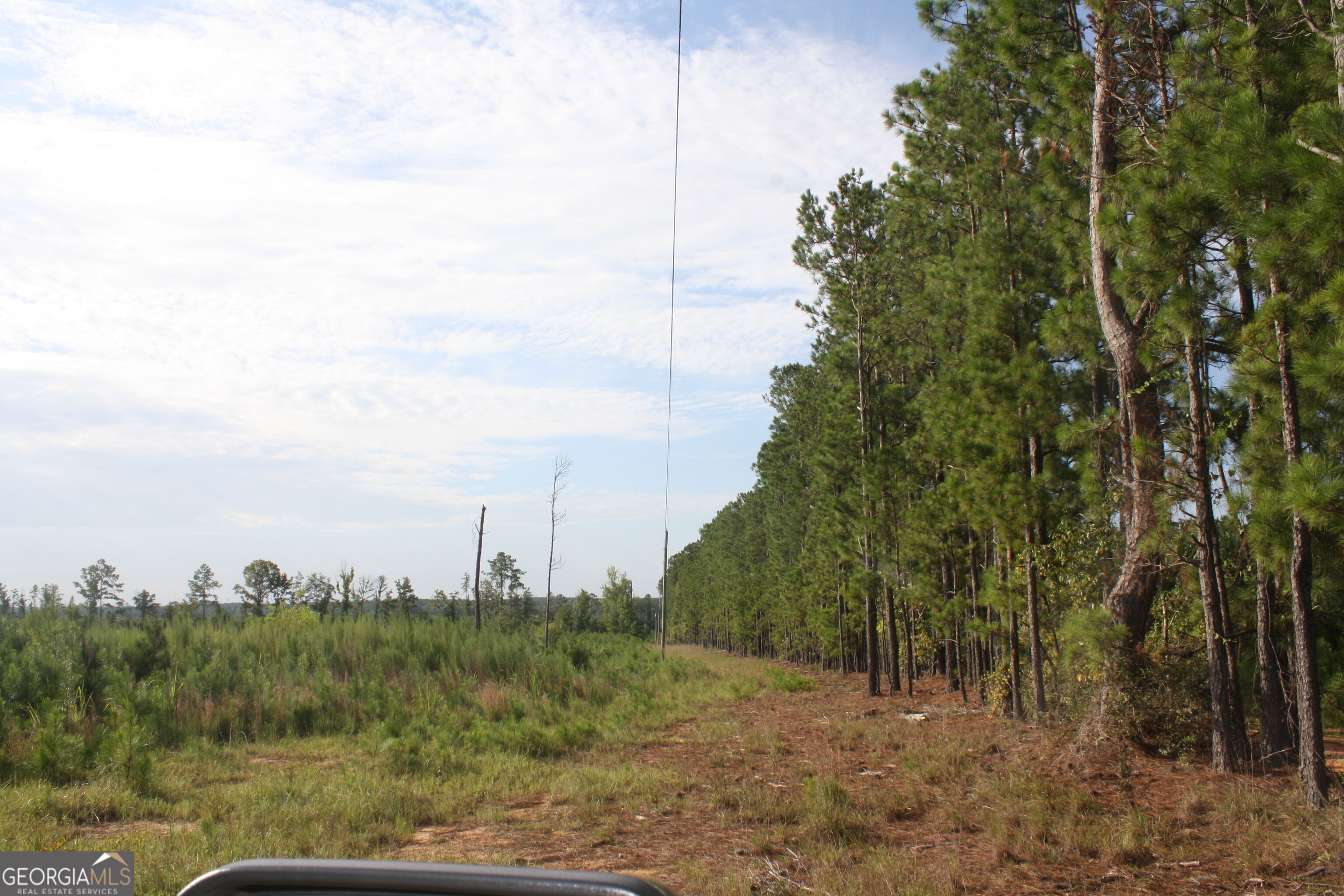 0 Balerma Church Road, Unit TRACT 2 Sparta, GA 31087 - Photo 9 of 19 Gallery Image 9