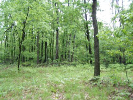 0 Meadville Road Titusville, PA 16354 - Photo 1 of 1