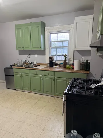 a kitchen with a sink a stove and cabinets