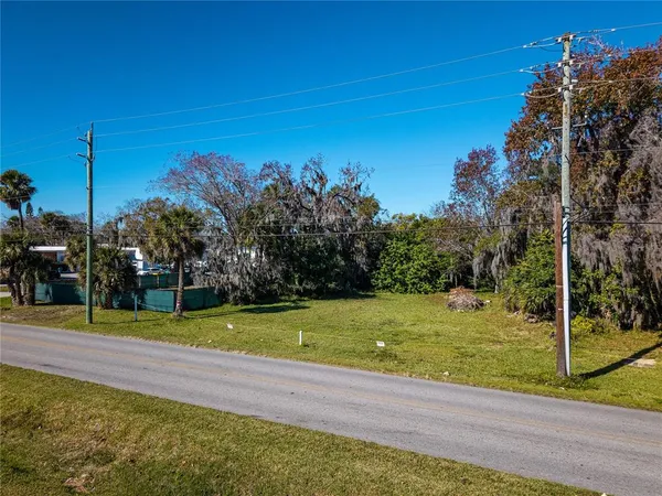 a view of a yard