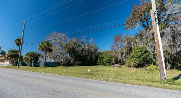 a view of a yard