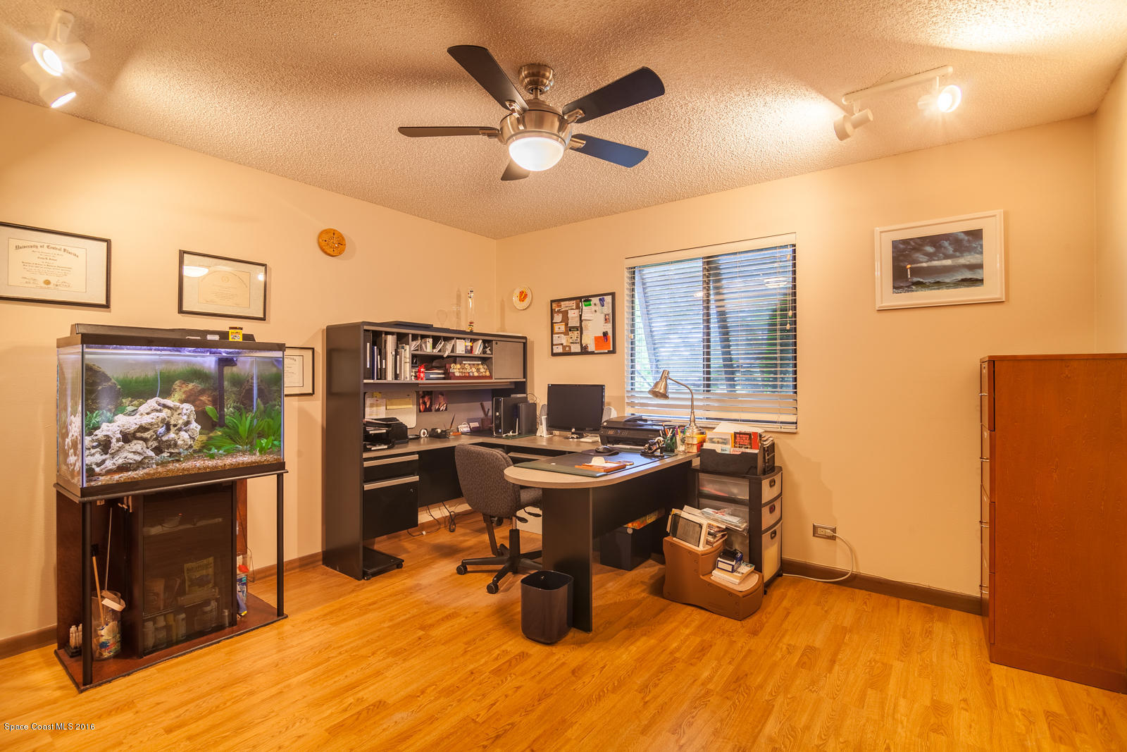 822 Cardinal Road Cocoa, FL 32926 - Photo 26 of 30 1st floor 3rd bedroom