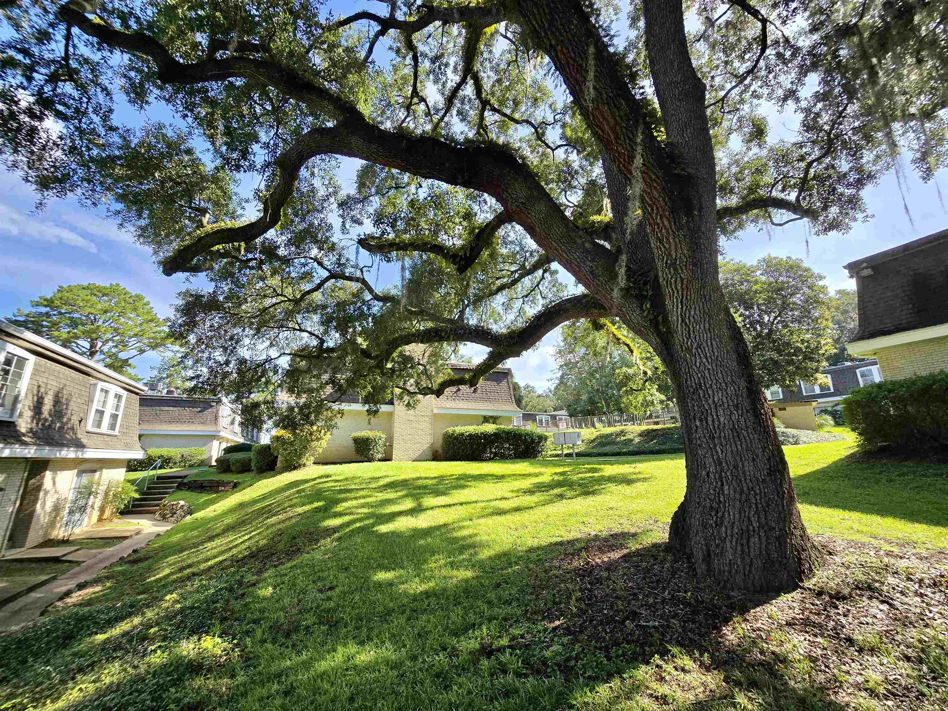 2020 Continental Avenue, Unit 140 Tallahassee, FL 32304 - Photo 21 of 41