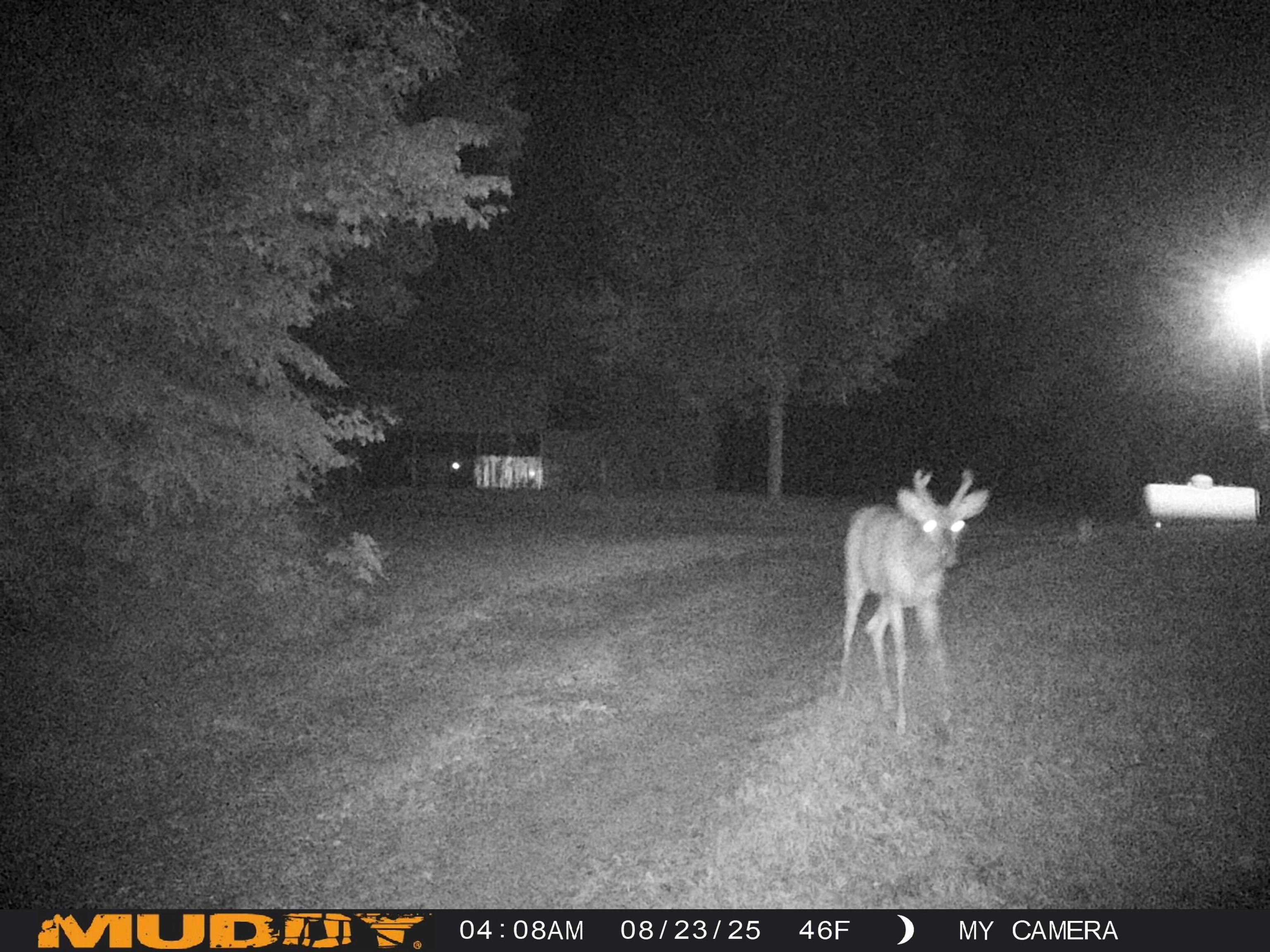 10694 Freeman Road Mesick, MI 49668 - Photo 14 of 39