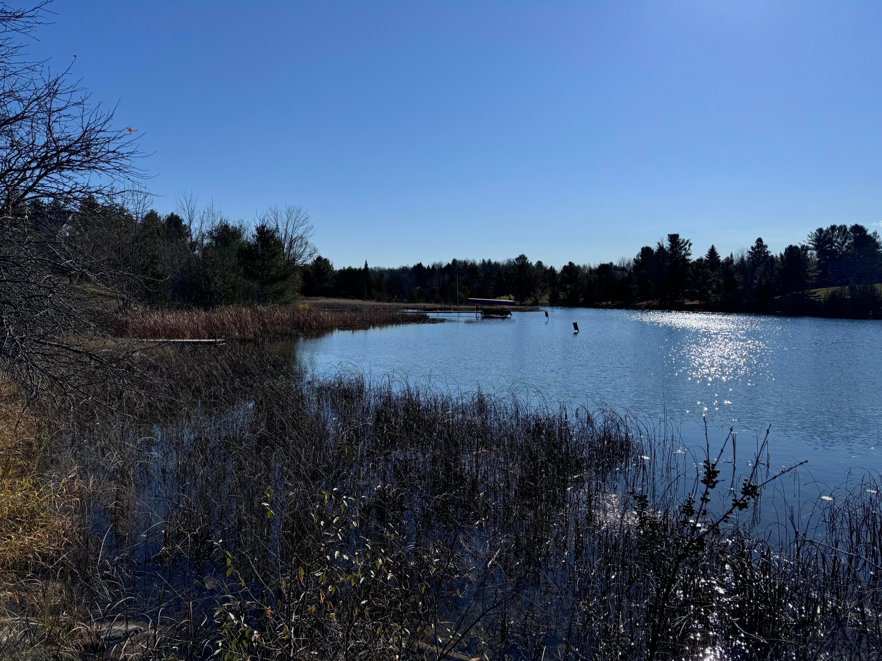 Off Twin Lakes Road Cheboygan, MI 49721 - Photo 5 of 11 Gallery Image 5