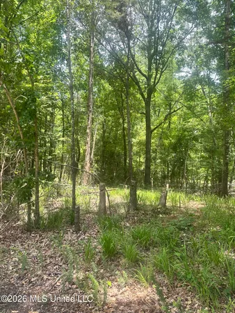 $25,000 | Lakeridge Road, Grenada, MS 38901