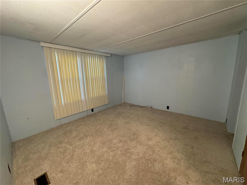 10236 Stringtown Road Baldwin, IL 62217 - Photo 19 of 28