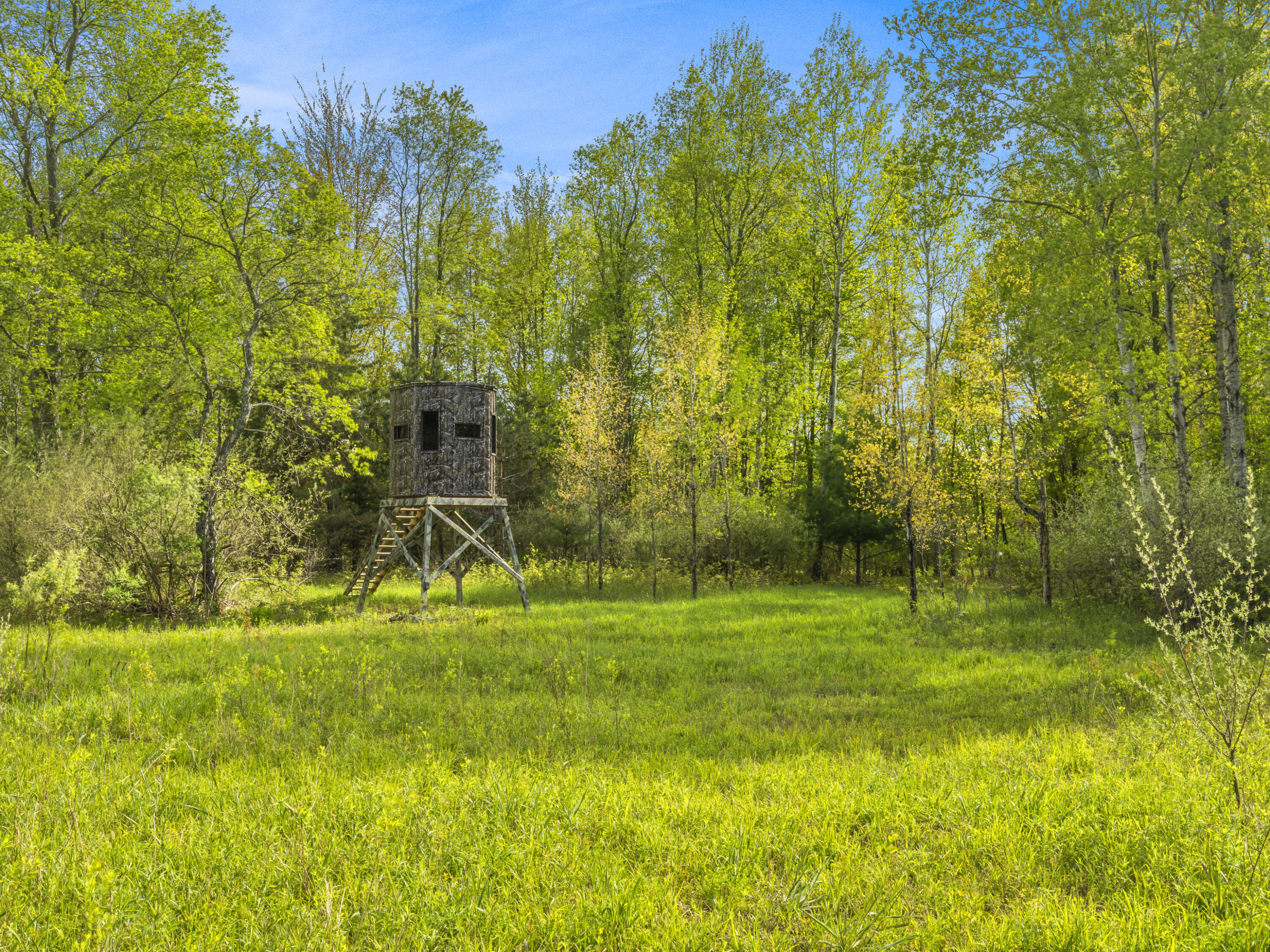 0 Dzuibanek Road Thompsonville, MI 49683 - Photo 10 of 21 0S5A8049