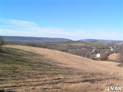 0 Clover Hollow Road Slatington, PA 18080 - Photo 1 of 4 Gallery Image 1
