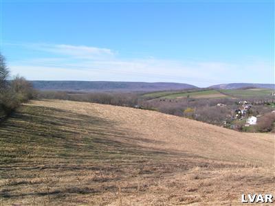 0 Clover Hollow Road Slatington, PA 18080 - Photo 3 of 4 Gallery Image 3