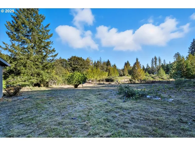 a view of a yard with a tree
