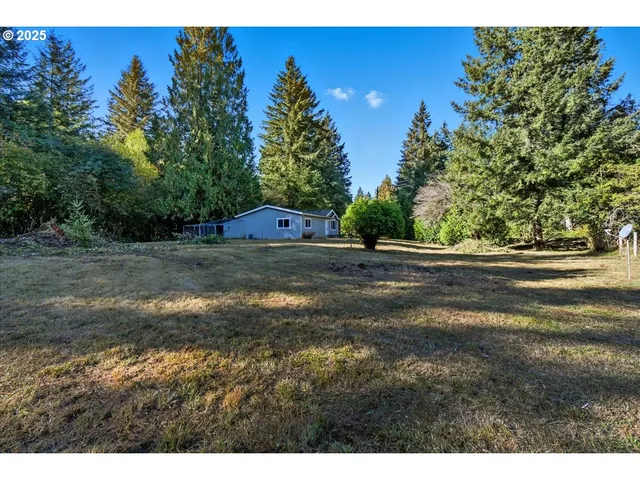 a view of dirt field with trees