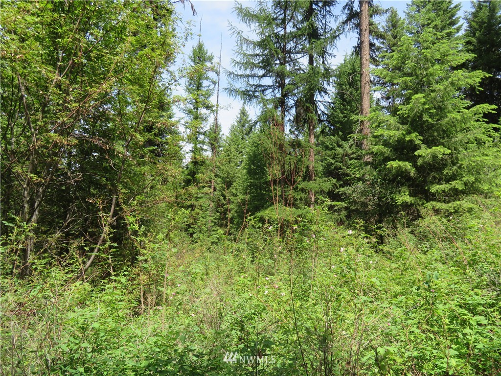 5 Boulder Creek Road Curlew, WA 99118 - Photo 22 of 24 Gallery Image 22