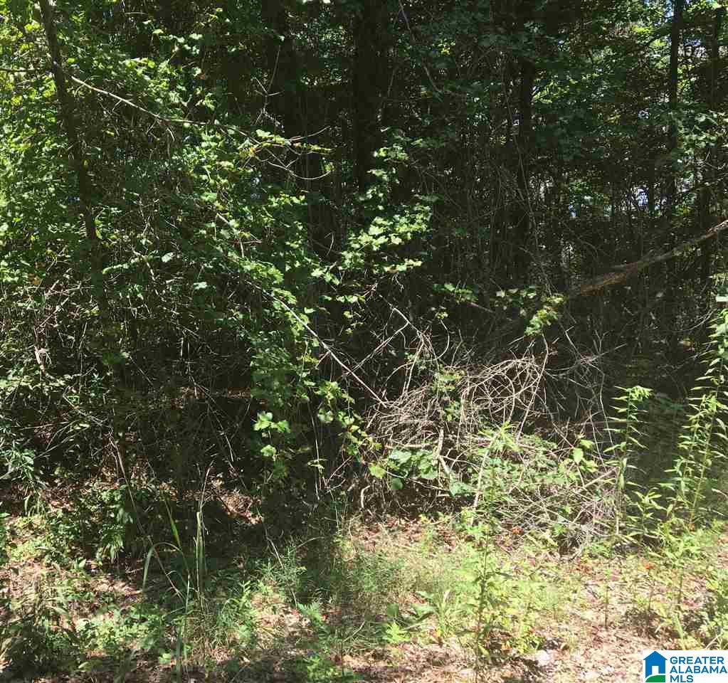 Clyde Circle McCalla, AL 35111 - Photo 1 of 1